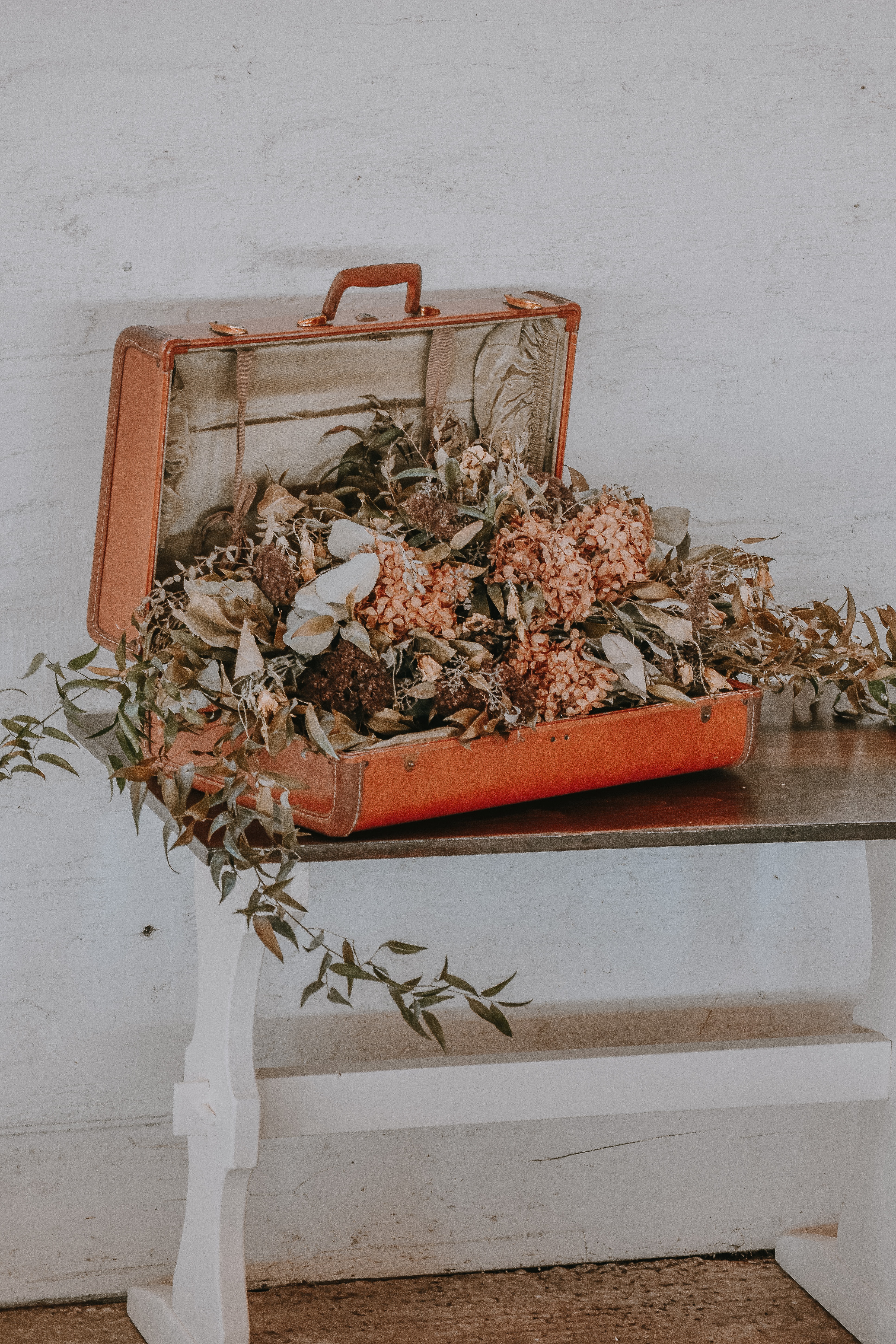 jacalyn-beales-COfM0YekQIo-unsplash
