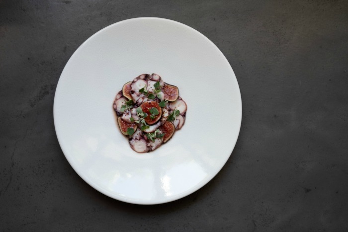 Makaron-Foraging-Octopus-figs-sourfig-soutbos-by-Keli-van-der-Weijde-HR